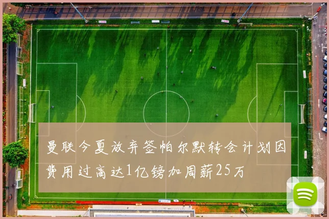 曼联今夏放弃签帕尔默转会计划因费用过高达1亿镑加周薪25万